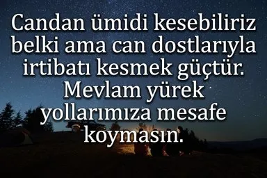 public agent com kralbet
