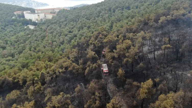 Son dakika haberi... Heybeliada’daki yangının verdiği tahribat havadan görüntülendi