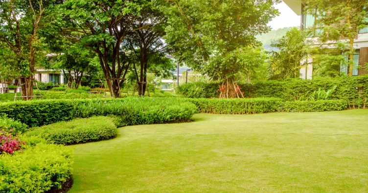 Rüyada bahçe görmek ne anlama gelir? Rüyada bahçe sulamak, kazmak