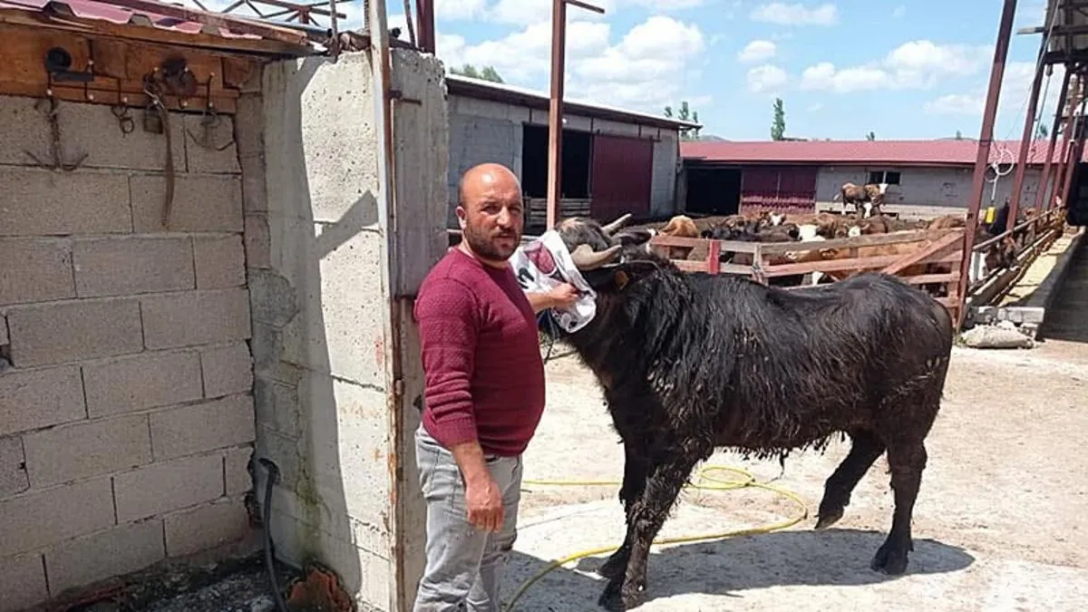 Komşuların arazi kavgasında kan aktı: 1 ölü!