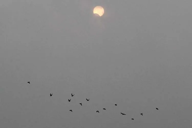 Dünyadan son dakika haberi... Ülke şokta: Engelli çocukları toprağa gömdüler