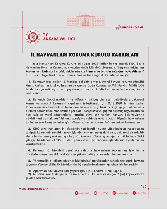 Ankara’da ‘sahipsiz hayvanlar’ için karar alındı: Tam 71 bin 695 TL ceza!