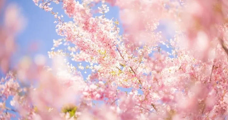 İkinci cemre ne zaman düşecek? Baharın habercisi...