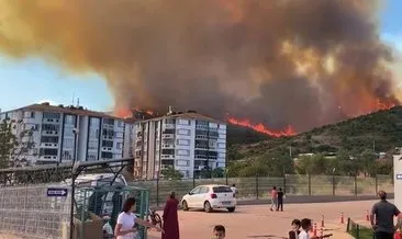 Ormanlık alanda çıkan yangın söndürüldü, soğutma çalışmaları devam ediyor #kocaeli