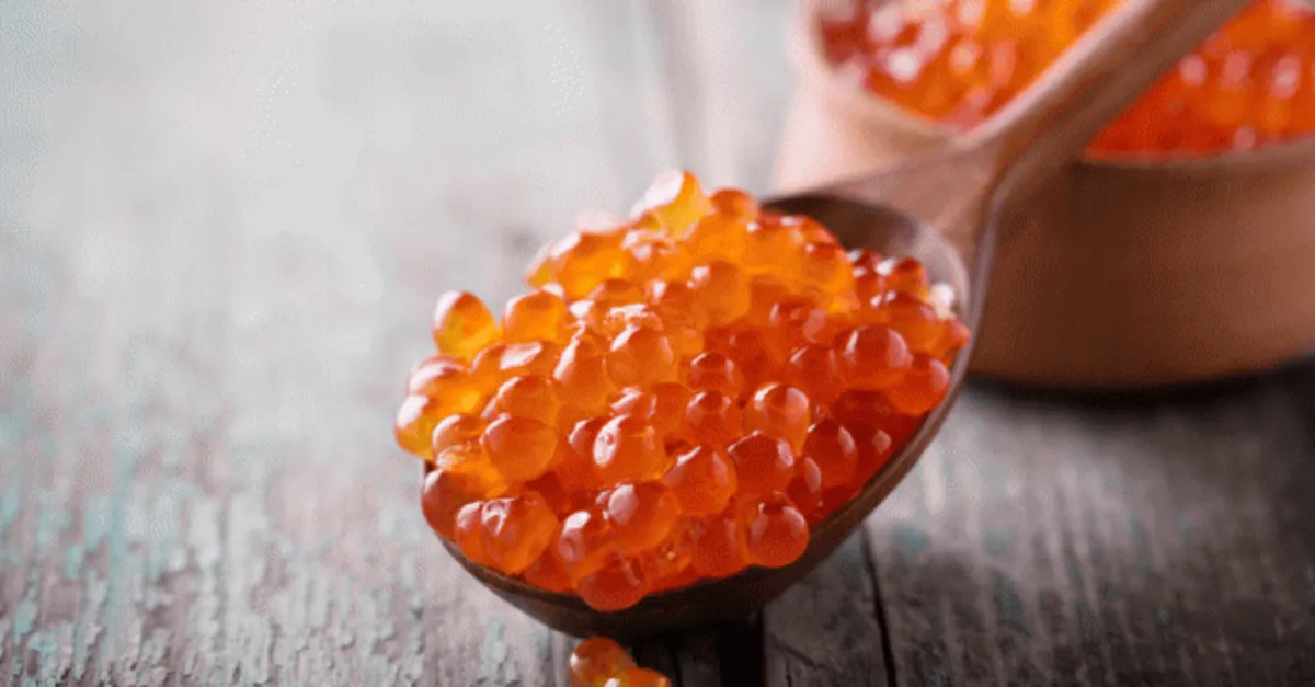 havyarin faydalari ve zararlari nelerdir havyar nasil tuketilir ne ise yarar saglik haberleri