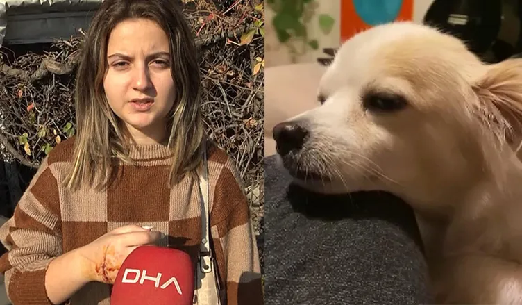 Avcılar’da pitbull dehşeti! Önce bana sonra da…