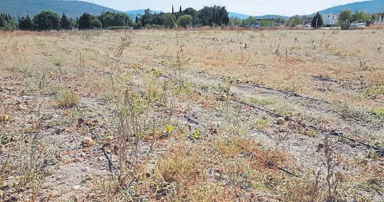 İzmir Büyükşehir’de istasyon kargaşası