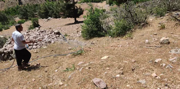 vatandaslar-tedirgin-gaziantepte-6-mahallede-cekirge-istilasi-1621177962975.jpg Vatandaşlar tedirgin! Gaziantep'te 6 mahallede çekirge istilası