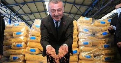 Büyükşehir’in tohum desteği başvuruları sona erdi #kocaeli