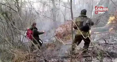 Rusya’da yeni yıl kutlamalarında atılan havai fişekler orman yangınına neden oldu | Video