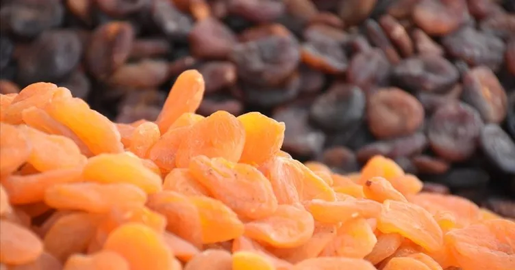 Kuru kayısı Malatya’ya can suyu oldu