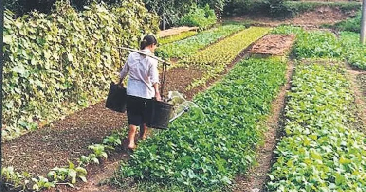 Çiftçi kadınlar kırsalda engel tanımadı