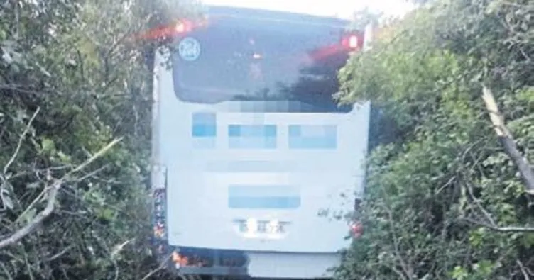 Yolcu otobüsü yoldan çıktı