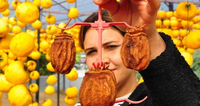 Çöpe atmadı! Gelir kaynağı haline getirdi! 5 yılda...