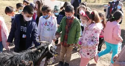Yönetmen Kutluğ Ataman çiftliğinin kapılarını öğrencilere açtı #erzincan
