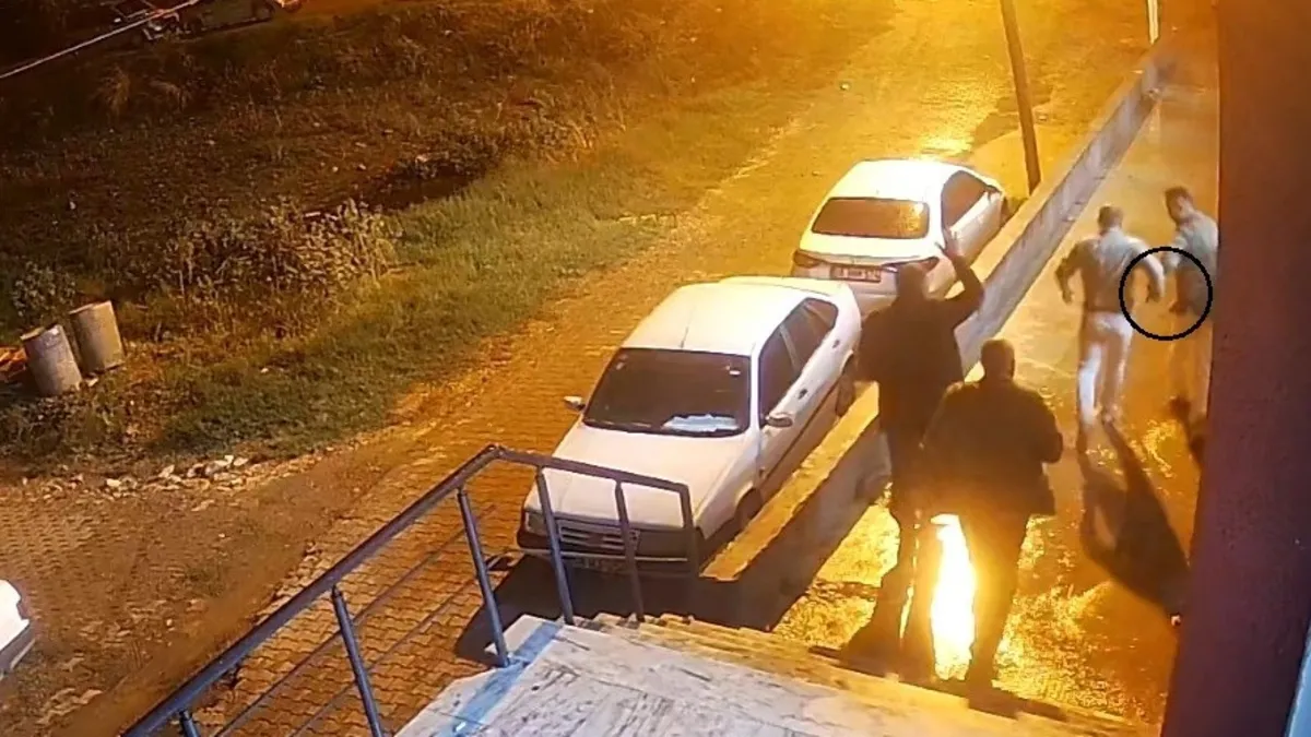 Hatay'da bir düğün sonrası yaşanan otopark kavgasında hayatını kaybeden İbrahim Ekmen'in davasında mahkeme karar verdi.