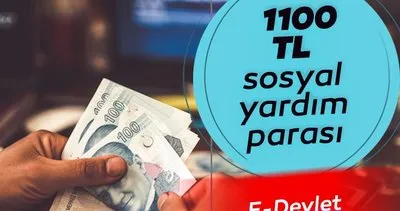 E-Devlet ile pandemi sosyal destek 1100 TL yardım parası başvurusu sonuç ekranı! 1100 TL sosyal yardım parası yattı mı, başvurular nasıl yapılır, şartları nedir?