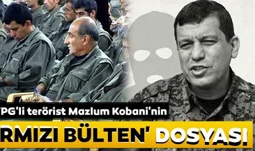 İşte YPG’li terörist Mazlum Kobani’nin ’kırmızı bülten’ dosyası