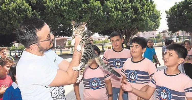Mersin’de şanslı kediye öğrenciler sahip çıktı
