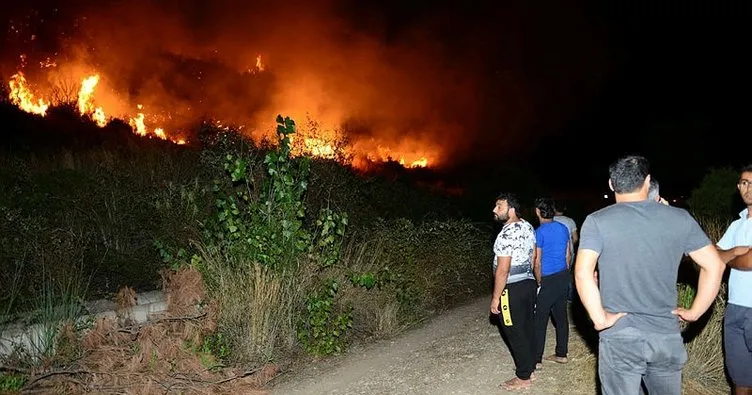 Antalya’da makilik alanda yangın