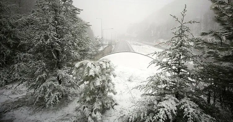 Bolu Dağı’nda kar yağışı ve yoğun sis etkili oluyor