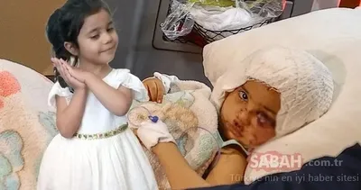 SON DAKİKA… Türkiye 4 yaşındaki Asiye Ateş’e ağlamıştı! Gaziantep’teki pitbull vahşetinde çarpıcı gelişme: Silah sayıldı