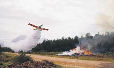 Yeşil vatan yapay zekâyla korunuyor