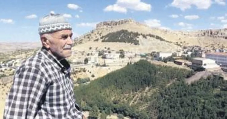 Çöplüğü 26 yılda ormana çevirdi