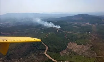 İzmir’de çıkan orman yangını kontrol altına alındı
