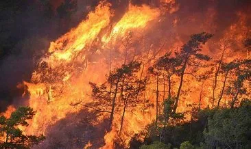 Son dakika: Muğla’da büyük orman yangını #mugla
