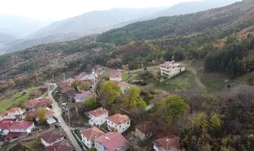 Mantar toplarken ölen 82 yaşındaki kadının oğlu SABAH’a konuştu #cankiri