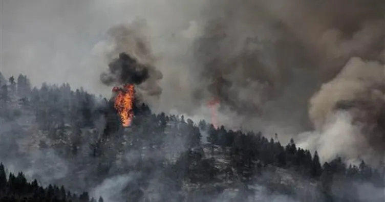 Kütahya’daki orman yangını 5 gün sonra kontrol altına alındı