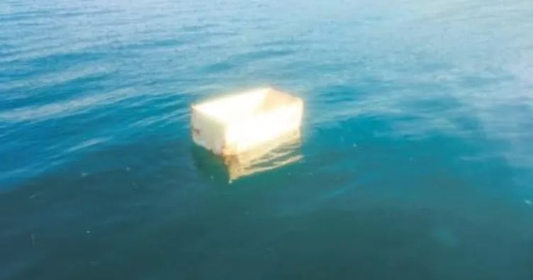 Deniz süpürgesine buzdolabı takıldı