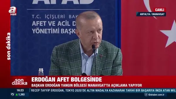 Başkan Erdoğan'dan Manavgat'ta orman yangını açıklaması 
