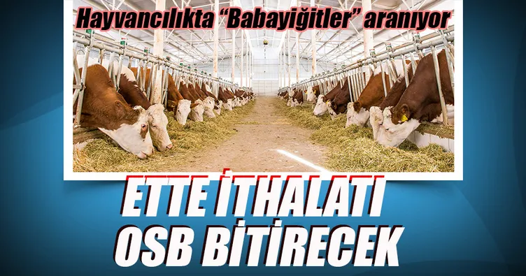 Ette ithalatı OSB bitirecek