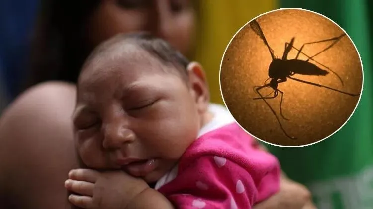 Yeni tehlike: Zika virüsü nasıl bulaşır, hangi ülkelerde var? Zika Virüs nedir, öldürür mü?
