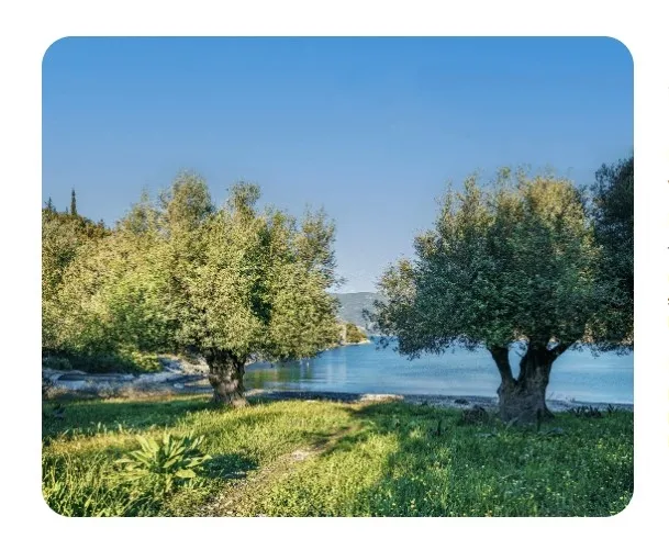 Son dakika: Okan Bayülgen'li reklamla hacizli oteli satmaya çalışmışlardı! SABAH yazdı bakanlık VClub olayına el koydu