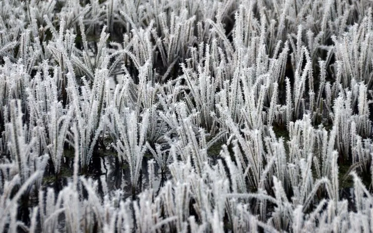 Kars’ta termometreler sıfırın altında 8 dereceyi gösterdi! İşte kartpostallık kareler