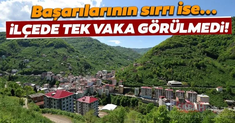 Trabzon’un Şalpazarı ilçesinde tek corona virüs vakasına rastlanmadı! Nedeni ise...