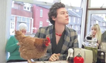 Rol arkadaşı bir tavuk!