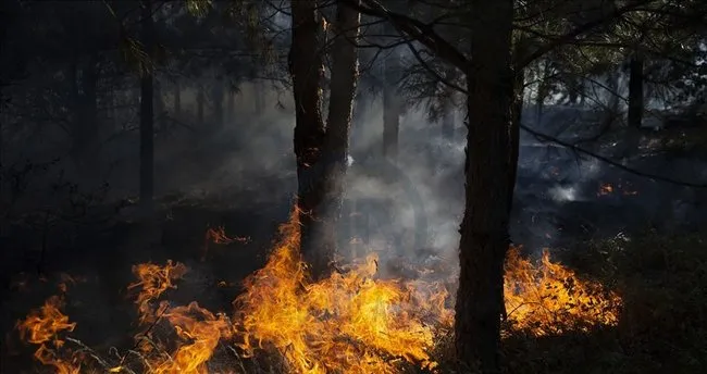 Son dakika: İçişleri Bakanlığı'ndan 'Orman Yangınlarına Karşı Alınacak Tedbirler' konulu genelge