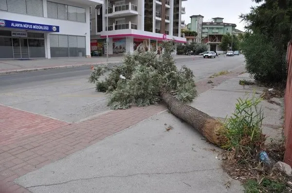 Kasırga hayatı felç etti