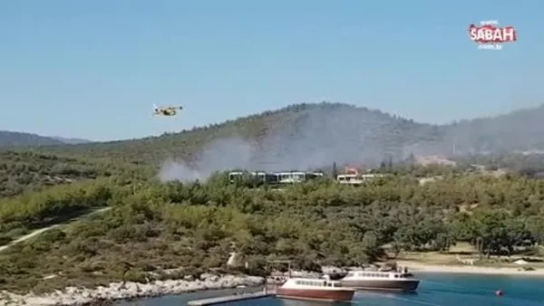 Milas'ta orman yangını | Video