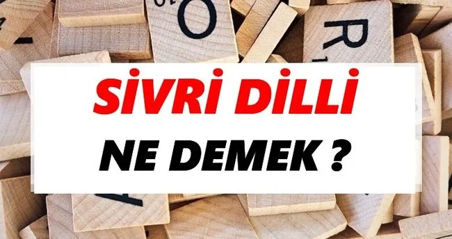Sivri dilli Ne Demek? TDK’ya Göre Sivri dilli Sözlük Anlamı Nedir?