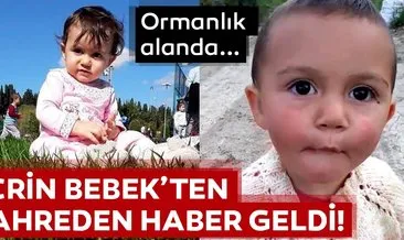 Son dakika haberi: 1.5 yaşındaki Ecrin Kurnaz’ın cansız bedeni ormanlık alanda bulundu