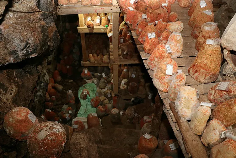 Karaman'da bir mağarada saklanıyor