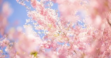 İKİNCİ CEMRE DÜŞTÜ MÜ? 2026 Baharın habercisi 2. cemre ne zaman düşüyor?