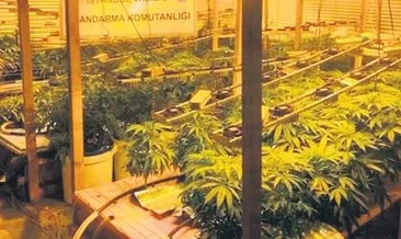 8 zehir taciri tutuklandı