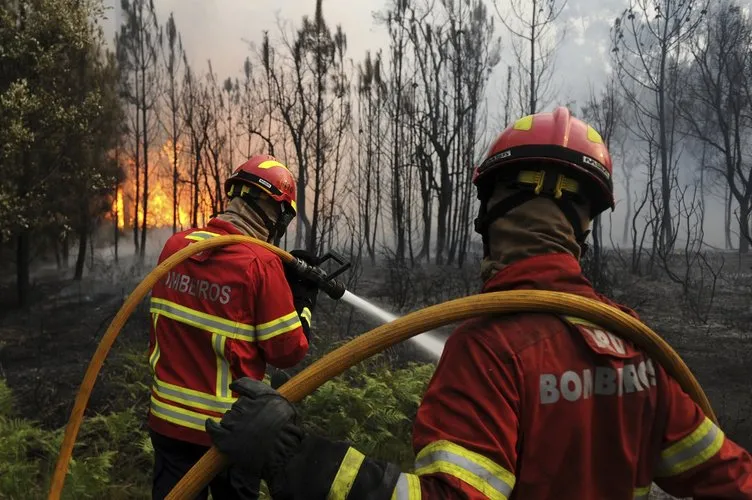 Portekiz’de orman yangını: 62 ölü