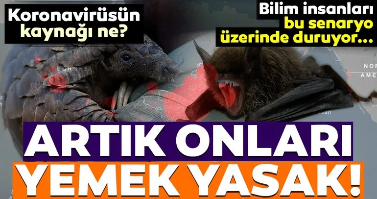 Koronavirüs kabusunun kaynağı ne? Çin’den flaş koronavirüs kararı! Artık onları yemek yasak...